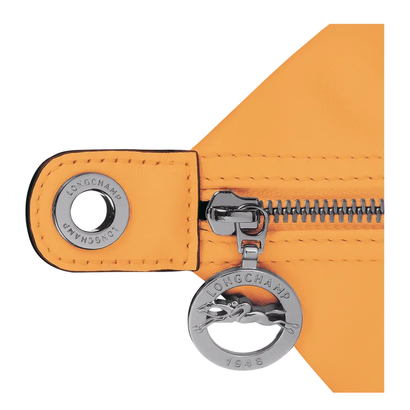 Le Pliage Xtra M Hobo bag