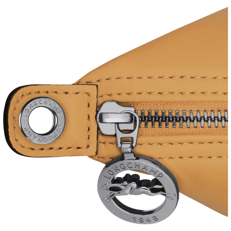 Le Pliage Xtra XS Crossbody bag