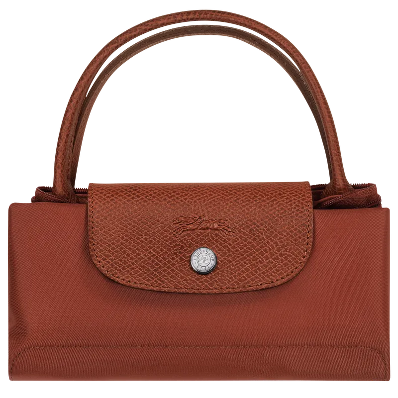 Le Pliage Green S Handbag