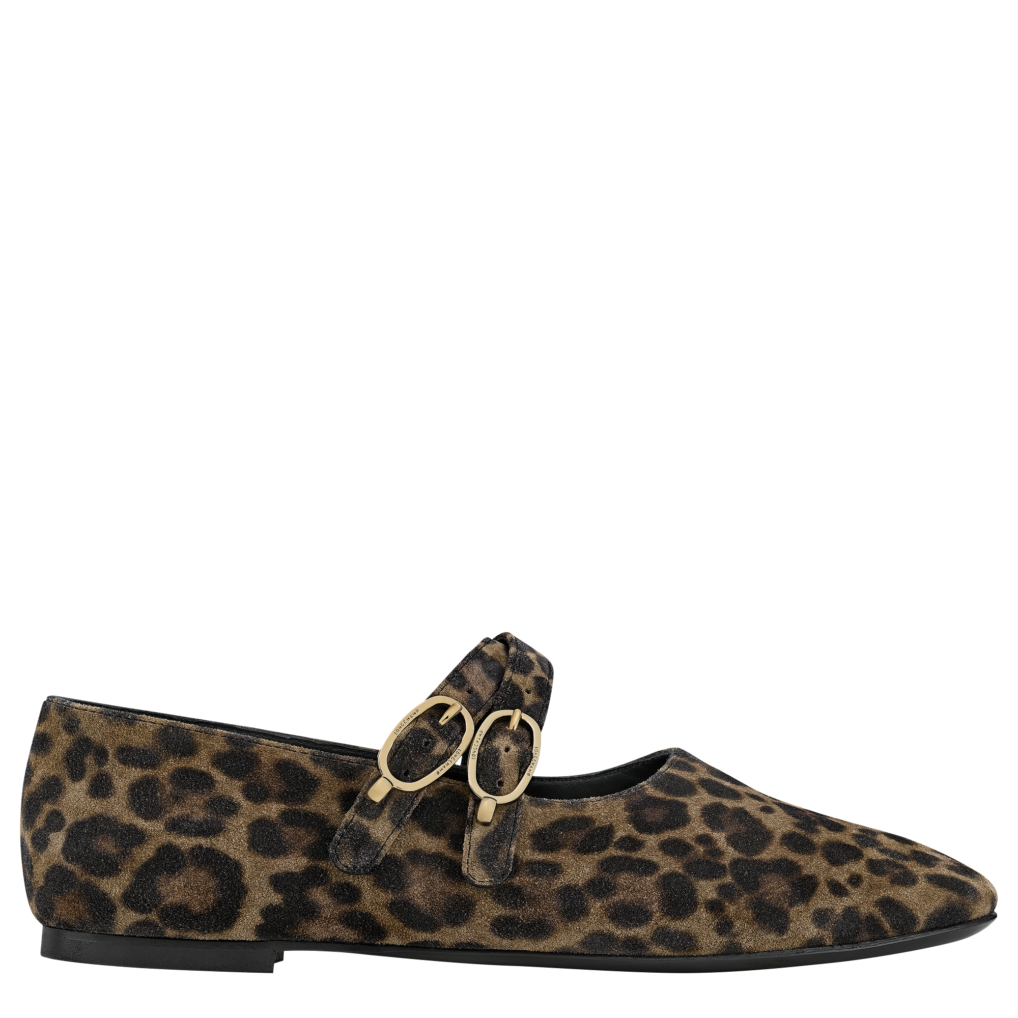 Le Foulonné Ballerinas